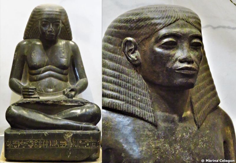 DALLE STALLE ALLE STELLE, di Marina Celegon.