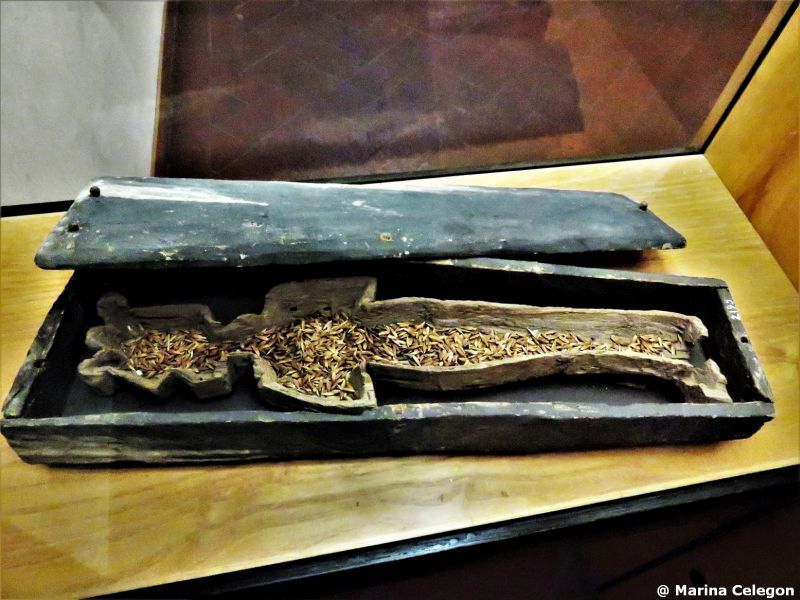 PICCOLE MUMMIE VITALI