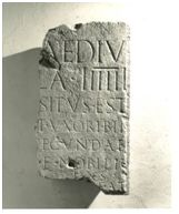 LA VITA DELLE PIETRE